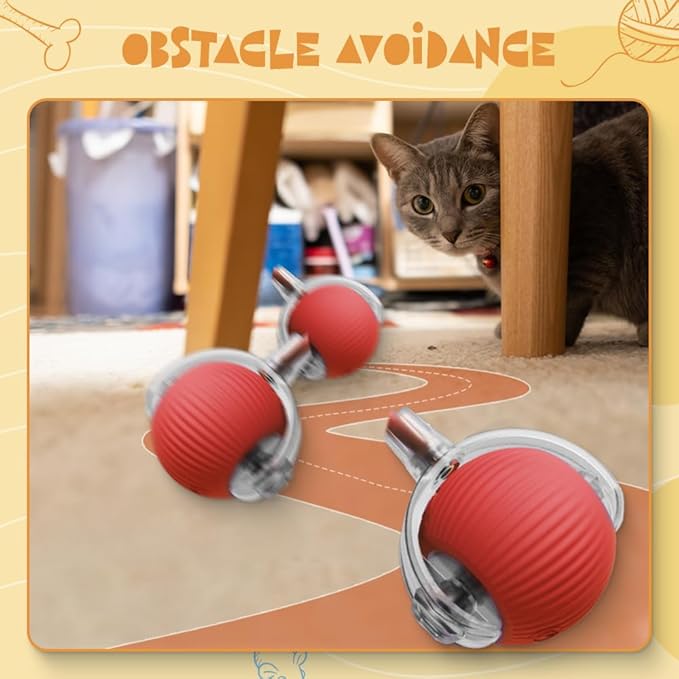 How to Tell If Your Sofa Is Jealous of Our New Cat Toy Collection